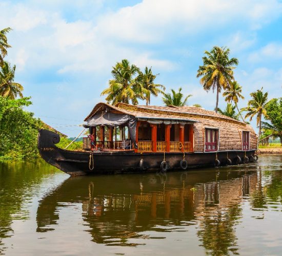 houseboat alleppey kerala 3