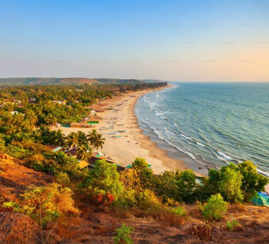 goa new