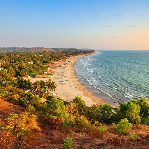 goa new